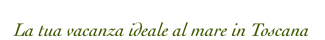 alt-logo-text